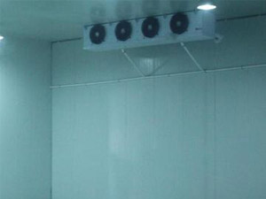三個小技巧，輕松辨別真假冷庫安裝公司